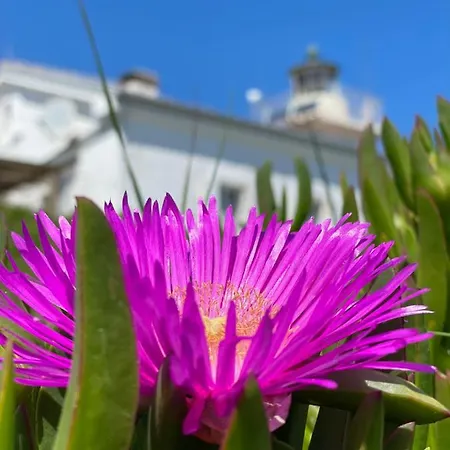 Medulina Xenia * Medulin